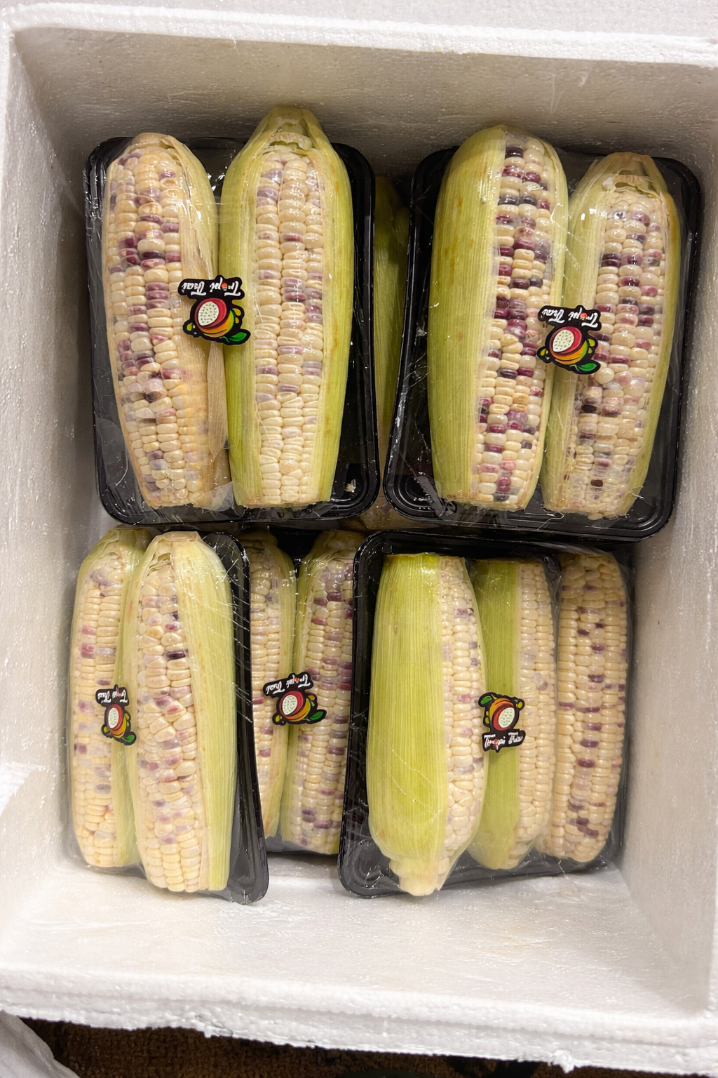 Fresh Mixed Color Sweet Corn (Purple & White) Pair