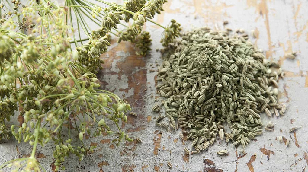 Whole Fennel Seeds (Saunf)