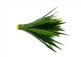 Pandan leaves ( Rampa leaves) 50g