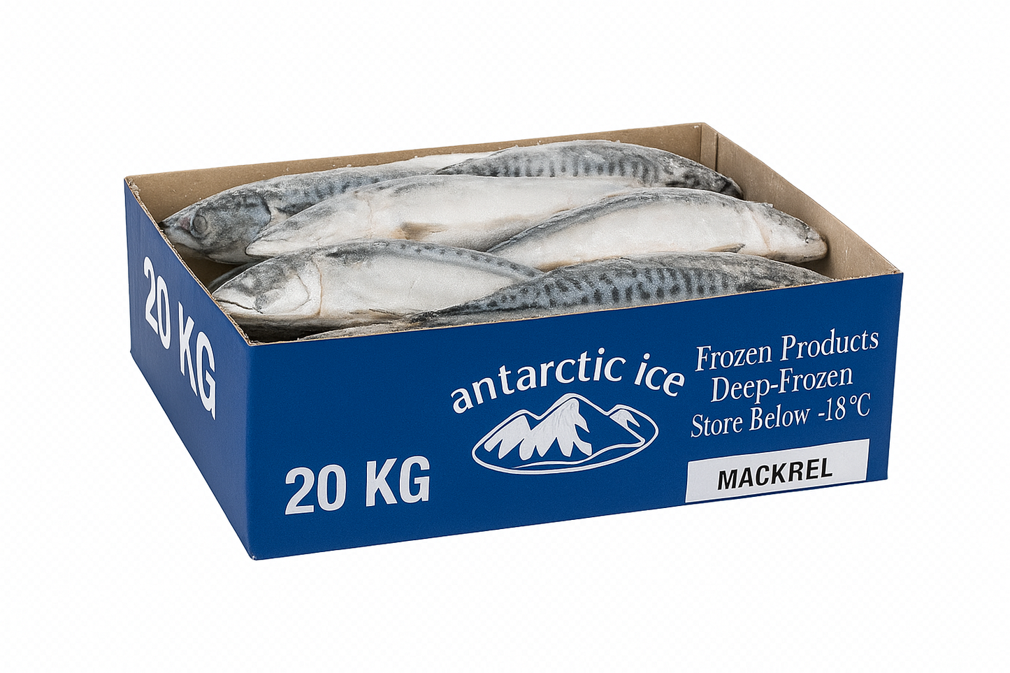 Frozen Titus Fish (Mackerel) – Large Size 500g+ | 20kg Catering Box | Premium Quality for African & Caribbean Cuisine
