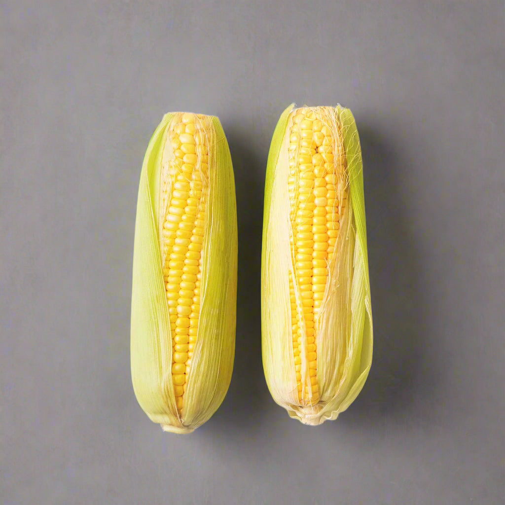 Sweet Corn (Pack of 2)