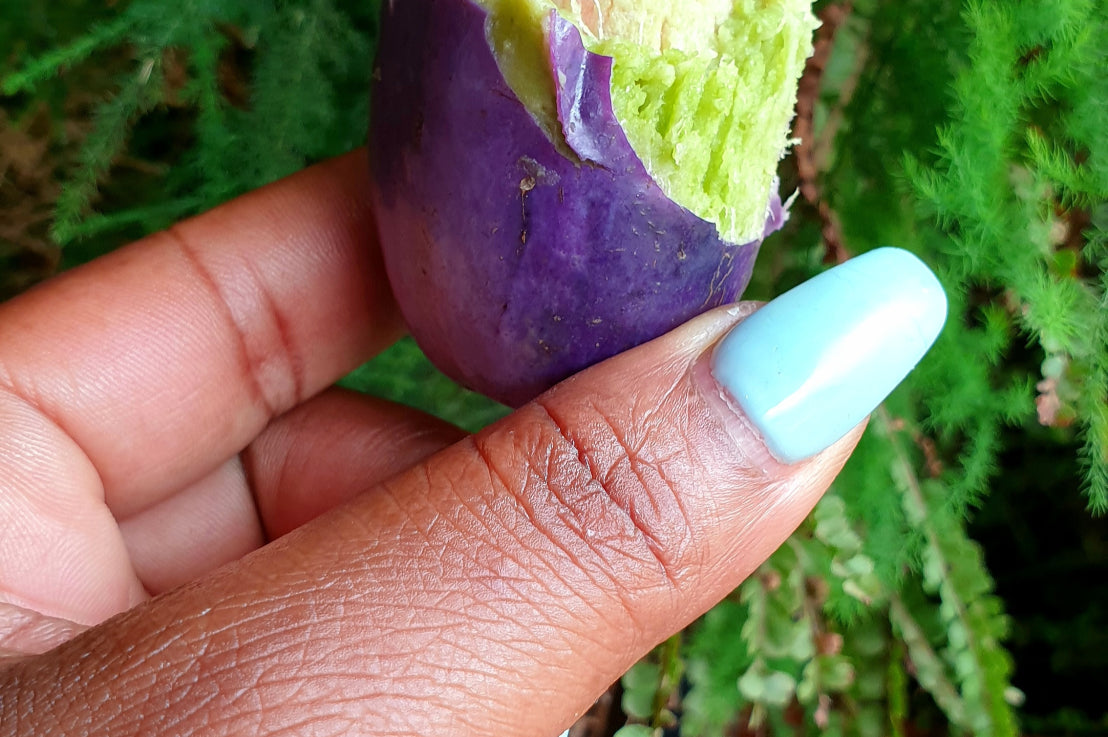 Fresh Ube African Pear (Safou)