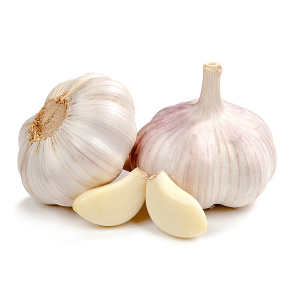Garlic (Pack of 3)