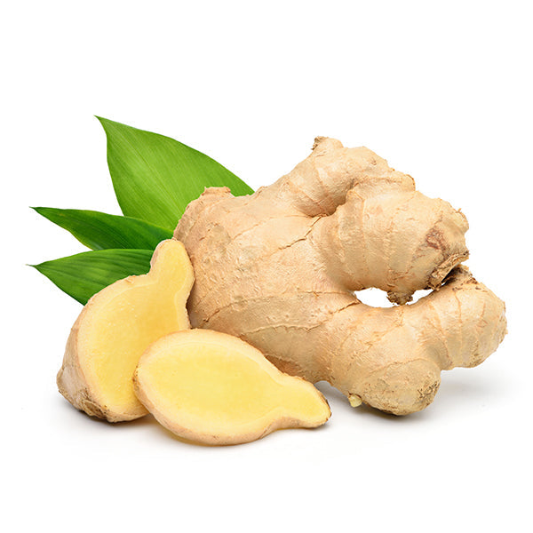 Indian Ginger
