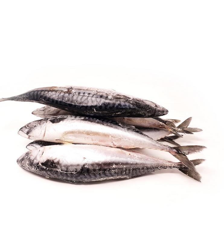 Mackerel Fish (3 pcs)