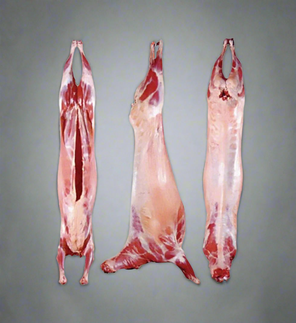 Qurbani - Lamb (20kg+)