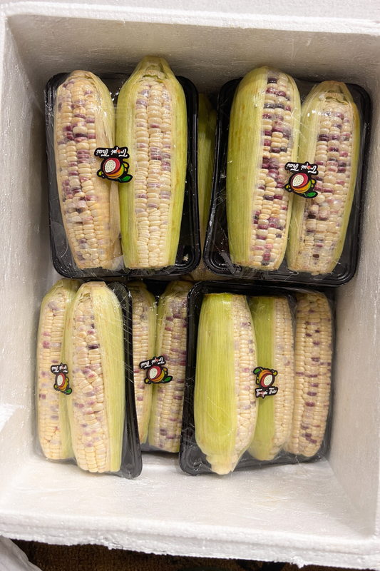 Fresh Mixed Color Sweet Corn (Purple & White) Pair