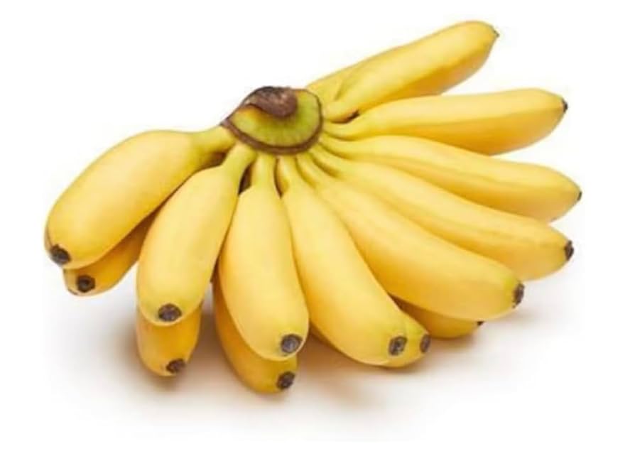 Organic Fresh Ugandan Apple Banana ( Baby Banana)