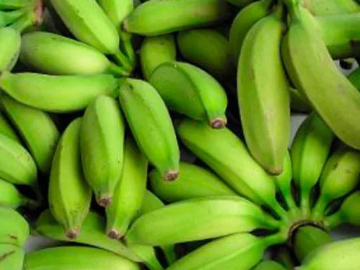 Organic Fresh Ugandan Apple Banana ( Baby Banana)