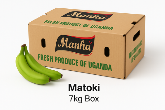Ugandan Matoki (Green Bananas) – 7kg Box | Organic African Cooking Bananas