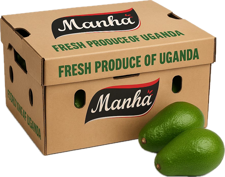 Ugandan Avocado – 7kg Box