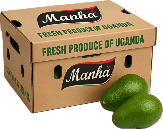Ugandan Avocado – 7kg Box