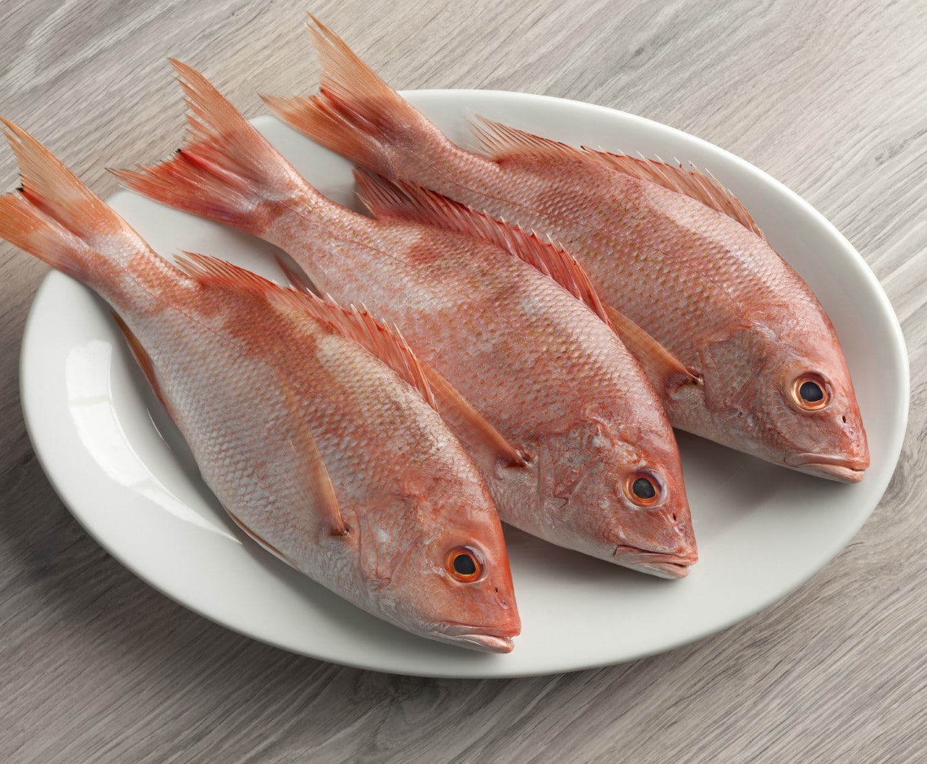 Red Snapper (Cleaned) 3kg – Manha Mini Market
