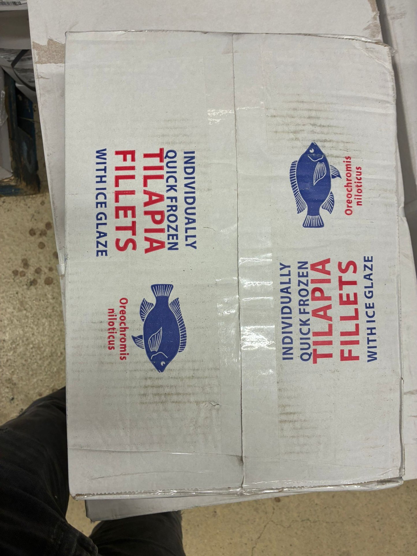 Individually Frozen Tilapia Fillets (With Ice Glaze) – 5kg Box