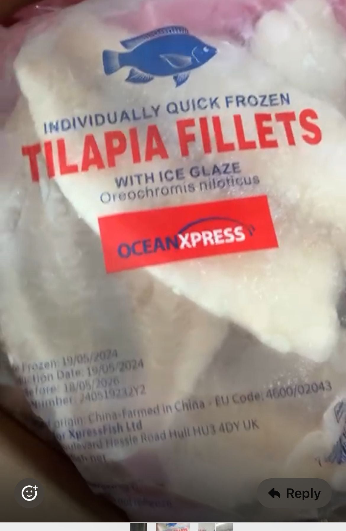 Individually Frozen Tilapia Fillets (With Ice Glaze) – 5kg Box