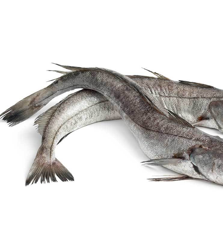 Hake Fish (cleaned) – Manha Mini Market