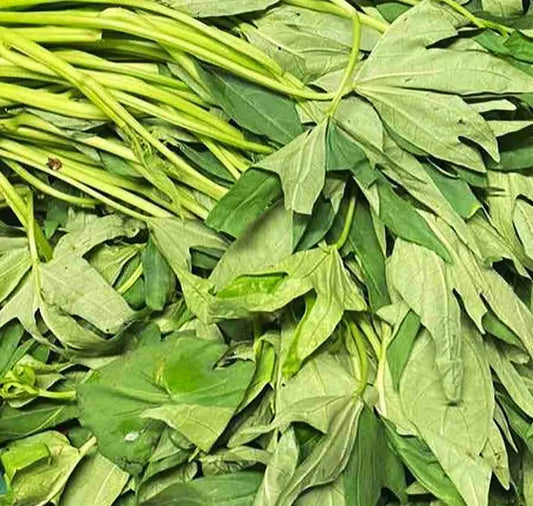 Matembele (Sweet Potato Leaves) – Fresh Basket of 24