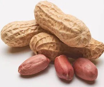Premium Ugandan Raw Peanuts  – Fresh Natural Groundnuts