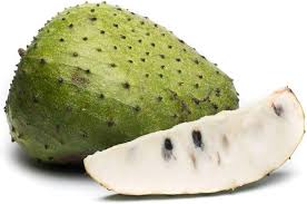 Soursop , Fresh Organic Soursop Fruits (Guanábana )