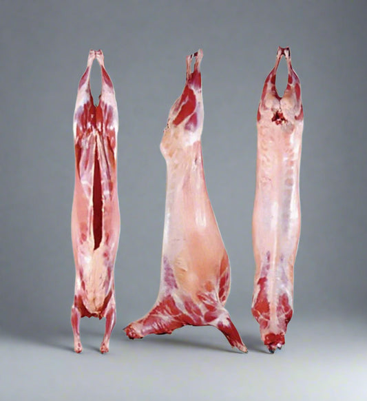 Define Mutton Sheep/Mutton – Manha Mini Market